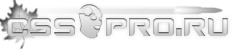 CSS PRO у нас еще есть скины, конфиги и сервера CSS PRO у нас есть скины, модели и спреи